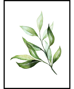 Plakat Zielone Liście - botaniczny