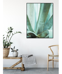 agawa plakaty z liśćmi agawy do mieszkania