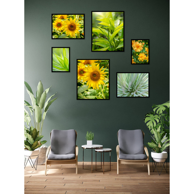 zestaw plakatów z roślinami kwiatami słonecznikami