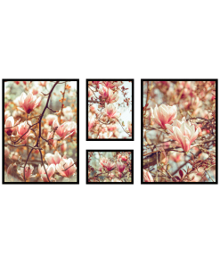 Magnolie kwiaty drzewa plakat na wiosnę do salonu
