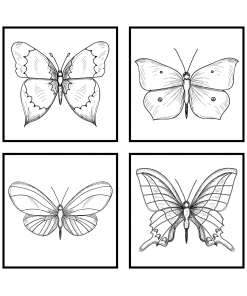 Motyle grafiki kwadratowe obrazy 4szt sklep
