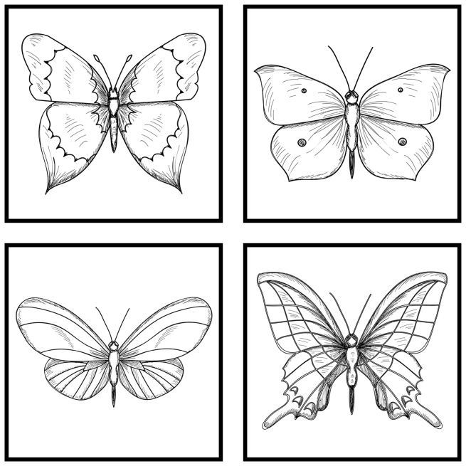 Motyle grafiki kwadratowe obrazy 4szt sklep