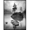 Drzewo na jeziorze czarno biały plakat