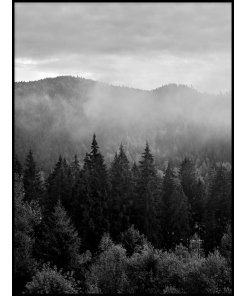 Drzewa las mgła BW plakat