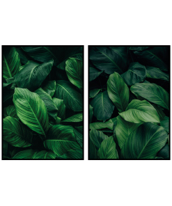 Rośliny liście botanika zielone plakaty do salonu sklep