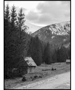 Dolina Chochołowska Krajobraz gór lasów plakat zakopane tatry